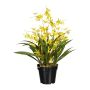 Artificial flower Oncidium orchid GLIMBAR, roots, yellow, 24"/60cm