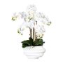 Artificial Phalaenopsis orchid ZALBROK, white decorative vase, roots, white, 30"/75cm