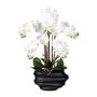 Artificial Phalaenopsis orchid ZALBROK, black decorative vase, roots, white, 30"/75cm