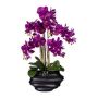 Artificial Phalaenopsis orchid ZALBROK, black decorative vase, roots, purple, 30"/75cm