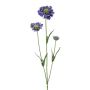 Decorative branch Scabiosa ATLENTO, purple, 26"/65cm
