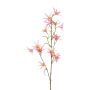 Decorative branch of Tweedia solanoides ZORHIL, metallic pink, 75cm