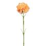 Decorative flower Carnation ZENDIA, apricot, 18"/45cm