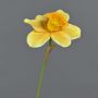 Decorative daffodil FEIHAO, orange-yellow, 16"/40cm