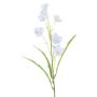 False flower Gentian REGGY, light purple, 20"/50cm