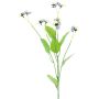 False branch Pansy YENIA, light blue-light green, 24"/60cm