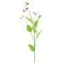 False branch Pansy YENIA, pink-fuchsia-cream, 24"/60cm