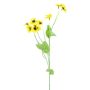 False branch Pansy YENIA, yellow, 24"/60cm