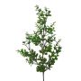 Decorative branch Eucalyptus PLERKO, green, 24"/60cm