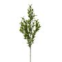 Decorative branch Butcher's broom SNERLO, green, 28"/70cm
