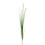 Decorative branch Pennisetum RILVO, panicles, cream-pink, 3ft/90cm