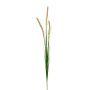 Decorative branch Pennisetum RILVO, panicles, green-pink, 3ft/90cm
