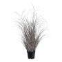 Decorative grass Sedge TAVRE, champagne, 30"/75cm