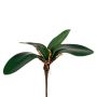 Decorative leaves, Phalaenopsis orchid ZULKRAM, stick, aerial roots, 8"/20cm