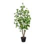 Artificial plant Polyscias MULVI, decorative pot, artificial stem, 4ft/110cm