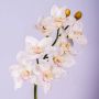 Silk cymbidium spray FEONA, white, 24"/60cm, Ø3.5"-4.7"/9-12cm