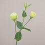 Artificial branch Lisianthus RINARA, cream-green, 26"/65cm