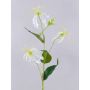 Artificial Gloriosa flower MAFIRNA, white-green, 31"/80cm