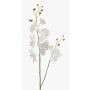 Silk phalaenopsis orchid spray LAHNA, white, 3ft/95cm, Ø2"-4"/5-10cm