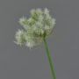Artificial dandelion BAOJI, cream, 28"/70cm