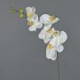 Decorative Phalaenopsis orchid branch LANUA, cream, 31"/75cm