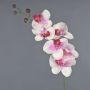 Decorative Phalaenopsis orchid branch LANUA, cream-pink, 31"/75cm