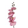 Decorative Phalaenopsis orchid branch LANUA, pink, 31"/75cm