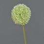 Artificial allium BAILIN, cream-green, 26"/65cm