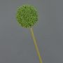 Artificial allium BAILIN, green, 26"/65cm