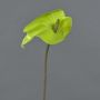 Artificial anthurium FEIWU, light green, 26"/65cm
