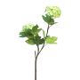 Decorative viburnum branch ALUO, light green, 20"/50cm