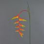 Decorative heliconia flower MEIHUA, orange, 3ft/95cm