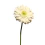 Artificial gerbera QIUDONG, cream, 20"/50cm