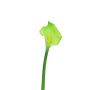 Artificial calla ZHILONG, light green, 22"/55cm