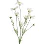 Artificial cosmos branch BAILING, cream, 3ft/90cm