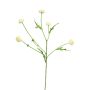 Artificial Helichrysum italicum branch SHUNCAI, cream, 24"/60cm