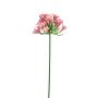 Artificial agapanthus ASONG, pink, 31"/75cm
