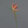 Artificial strelitzia WEIYU, orange-purple, 24"/60cm