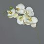 Artificial Phalaenopsis orchid branch SONGYA, white, 22"/55cm