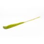Dried reed bunch DONJETA, apple green, 4ft/115-120cm, Ø6"/15cm