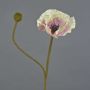 Artificial poppy YILAN, pink-white, 24"/60cm