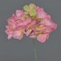 Decorative hydrangea FUHUA, pink-cream, 10"/25cm