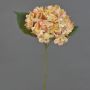 Artificial hydrangea QILIN, yellow-pink, 14"/35cm