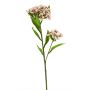 Artificial carnation branch YUFENG, cream-pink, 24"/60cm
