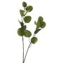 Decorative eucalyptus branch AOSHAN, green, 31"/80cm