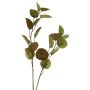 Decorative eucalyptus branch AOSHAN, brown-green, 31"/80cm