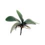 Artificial leaves of Phalaenopsis orchid XIAOQIN with aerial roots, 10"/25cm