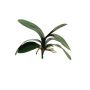 Artificial leaves of Phalaenopsis orchid XIAOQIN with aerial roots, 12"/30cm