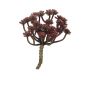 Artificial Echeveria macdougallii ULUO on spike, burgundy, 7.5"/19cm