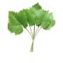 Artificial maple leaf FENLI, 6 pieces, green, 12"/30cm